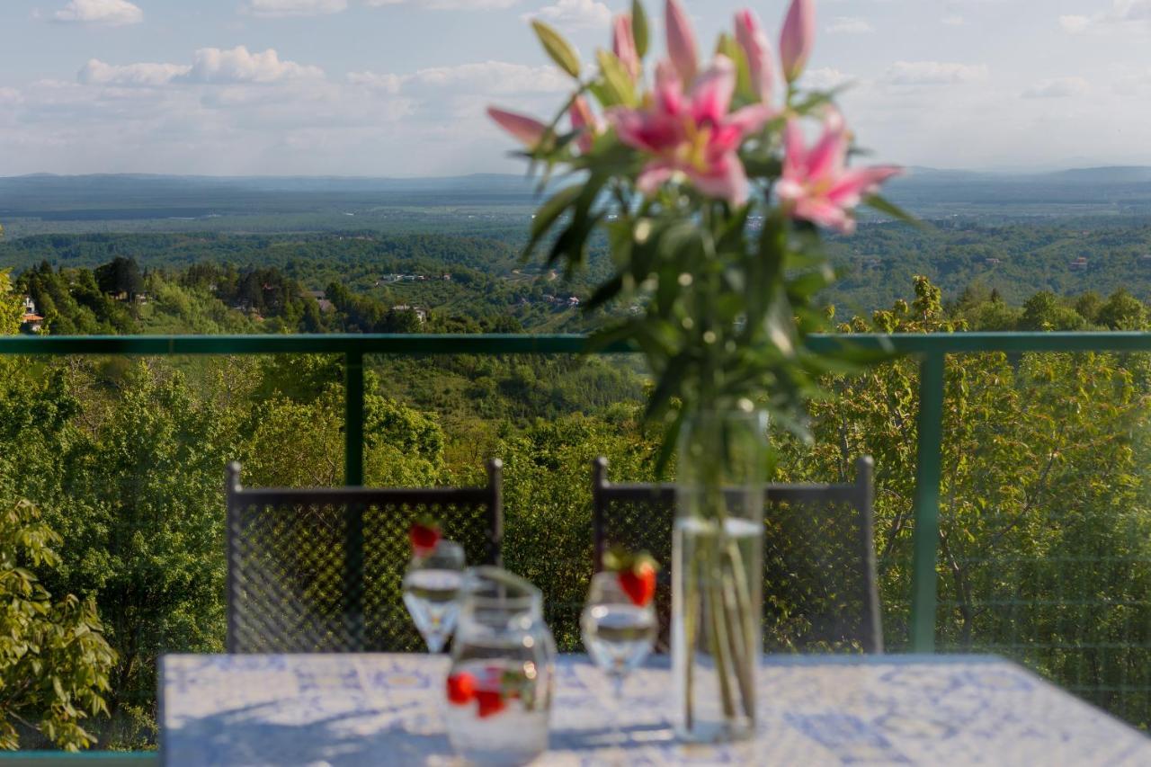 Villa View *